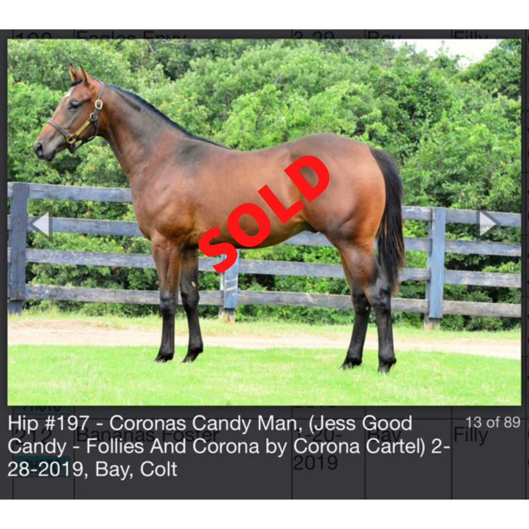 Yearlings For Sale.